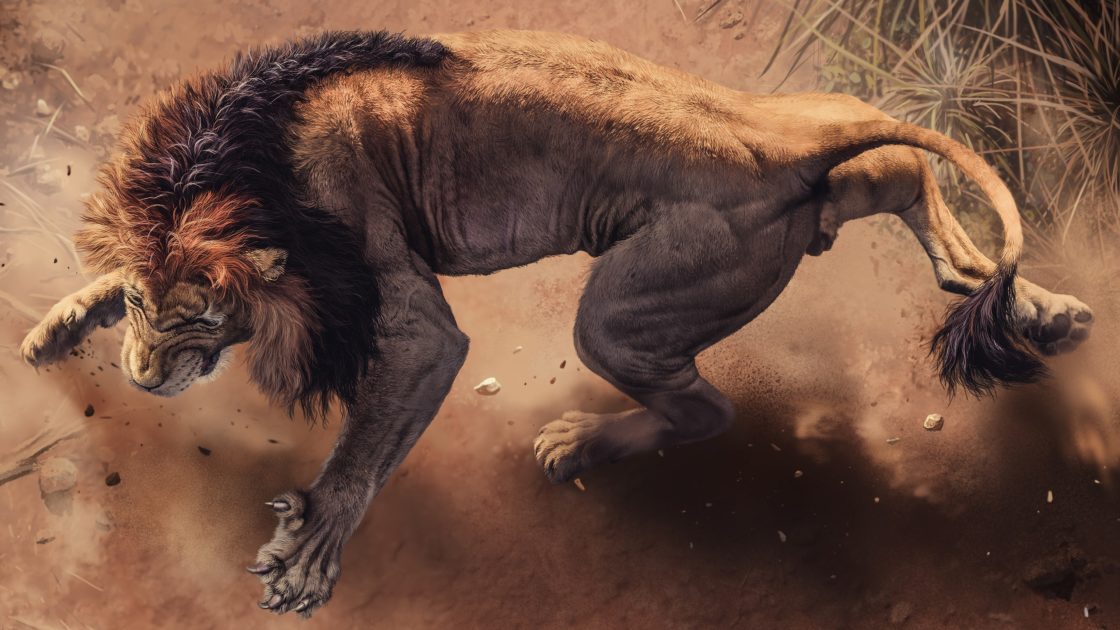 wallpaper et fond d'écran lion animal félin animaux fauve sauvage nature