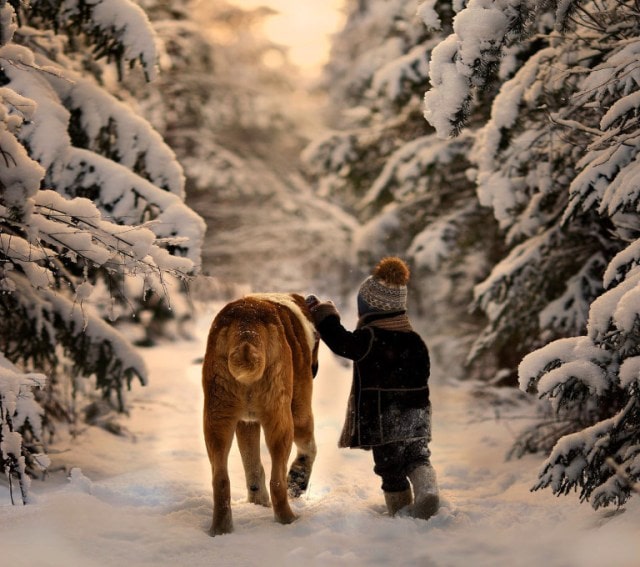 Paradis d'hiver #2 / Winter paradise #2