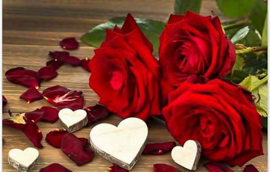 wallpaper et fond d'écran saint-valentin amour coeur fleurs amoureux fête sentiments