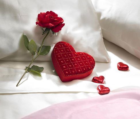 wallpaper et fond d'écran saint-valentin amour coeur fleurs amoureux fête sentiments
