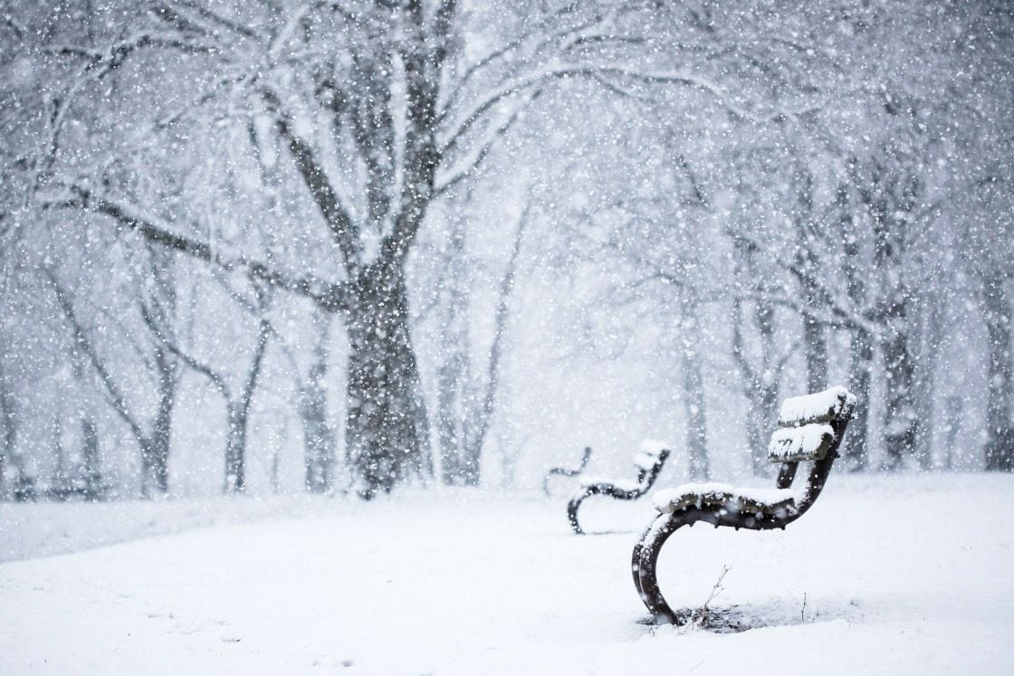 Paradis d'hiver #2 / Winter paradise #2