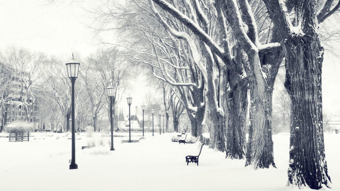 wallpaper et fond d'écran hiver parc nature paysage saison neige