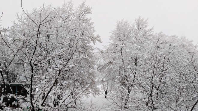 Paradis d'hiver #2 / Winter paradise #2