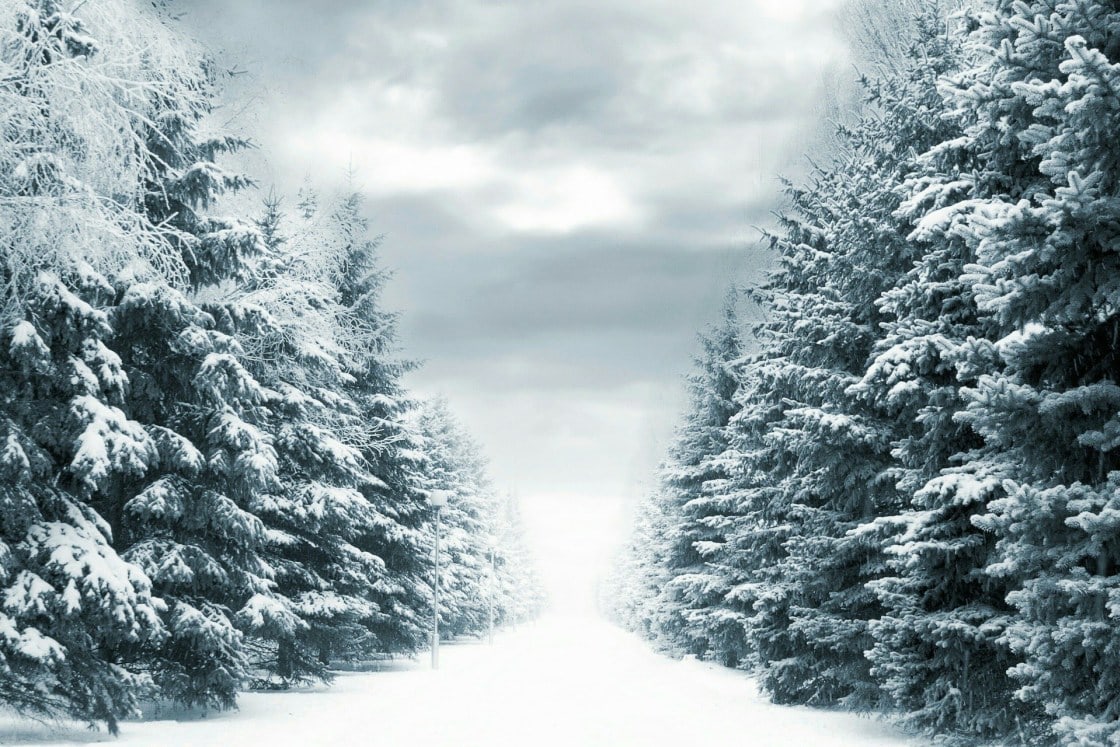 Paradis d'hiver #2 / Winter paradise #2