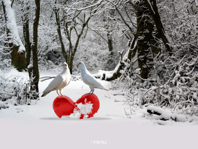 Paradis d'hiver #2 / Winter paradise #2