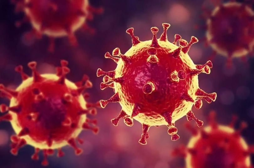 Santé - Le Coronavirus