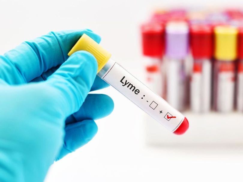 La Maladie de Lyme / Lyme disease
