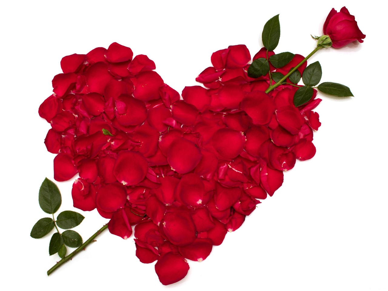 wallpaper et fond d'écran saint-valentin amour coeur fleurs amoureux fête sentiments
