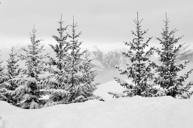 Paradis d'hiver #2 / Winter paradise #2