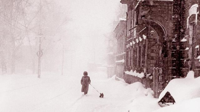 Paradis d'hiver #2 / Winter paradise #2