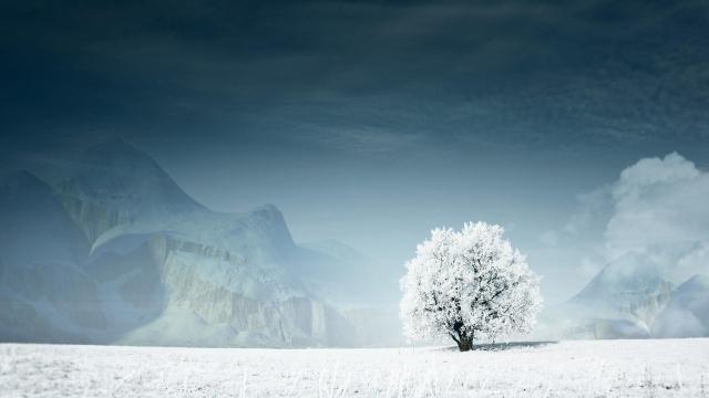 Paradis d'hiver #2 / Winter paradise #2