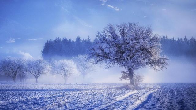 Paradis d'hiver #2 / Winter paradise #2