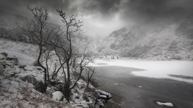 Paradis d'hiver #2 / Winter paradise #2