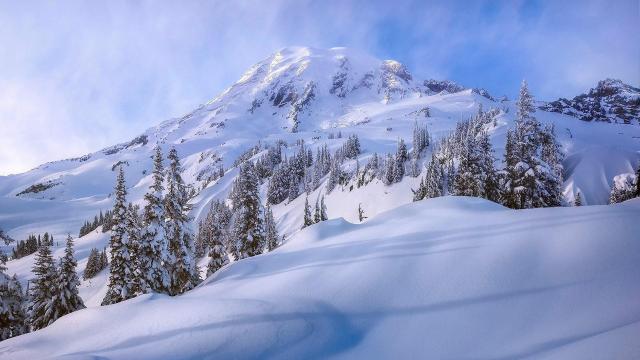 Paradis d'hiver #2 / Winter paradise #2
