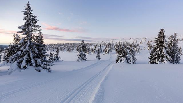 Paradis d'hiver #2 / Winter paradise #2