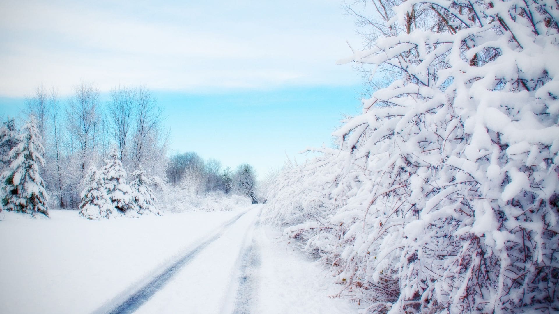 wallpaper et fond d'écran hiver saison nature paysage neige