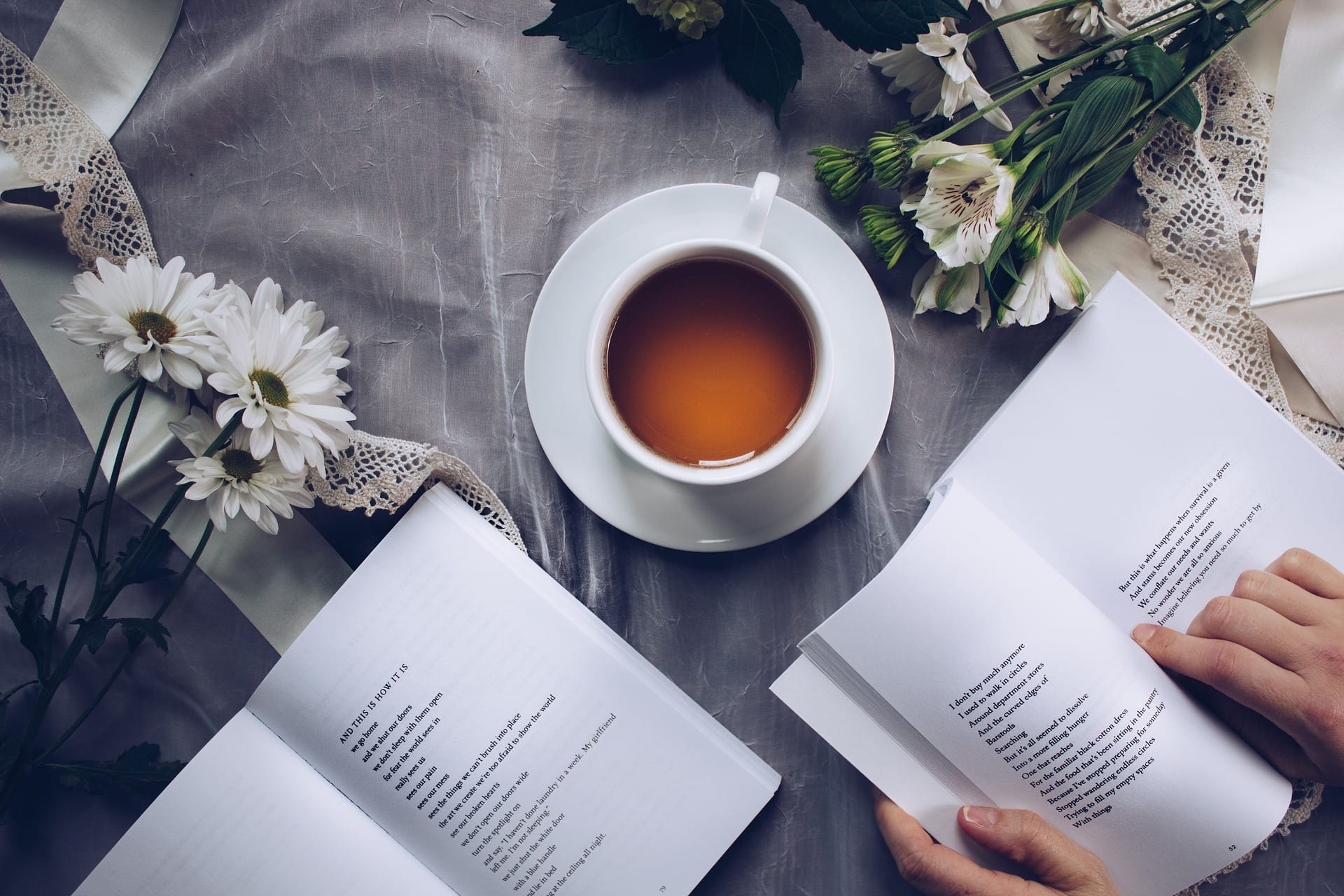 Mes Romans préférés #1 / My favorite novels #1