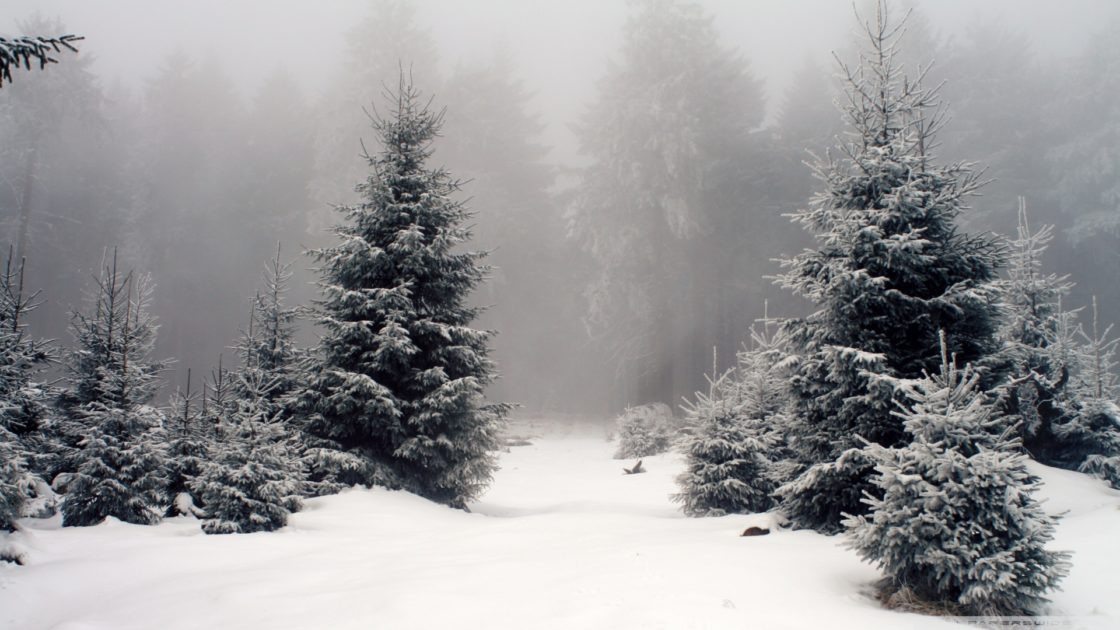 Nostalgie Hiver / Winter nostalgia