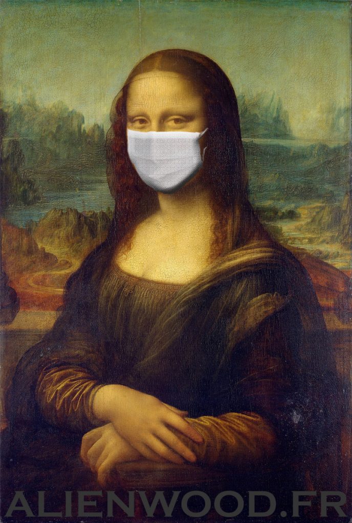 photographie joconde Mona Lisa humour masque art tableau drôle