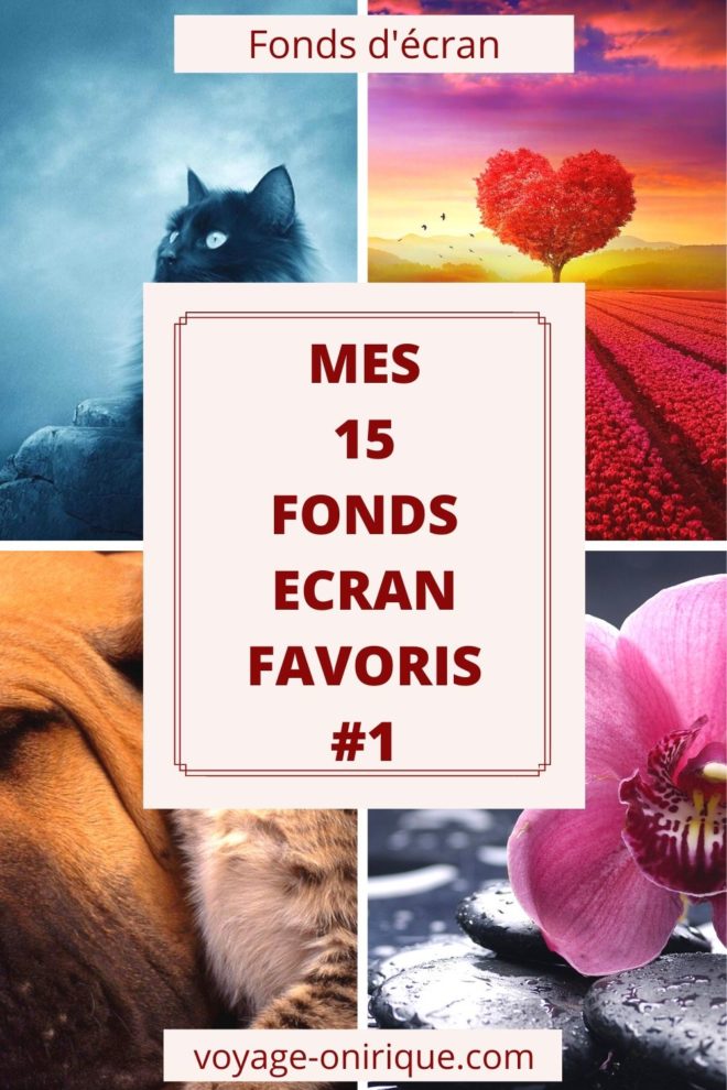 Mes 15 Fonds d'écran favoris #1