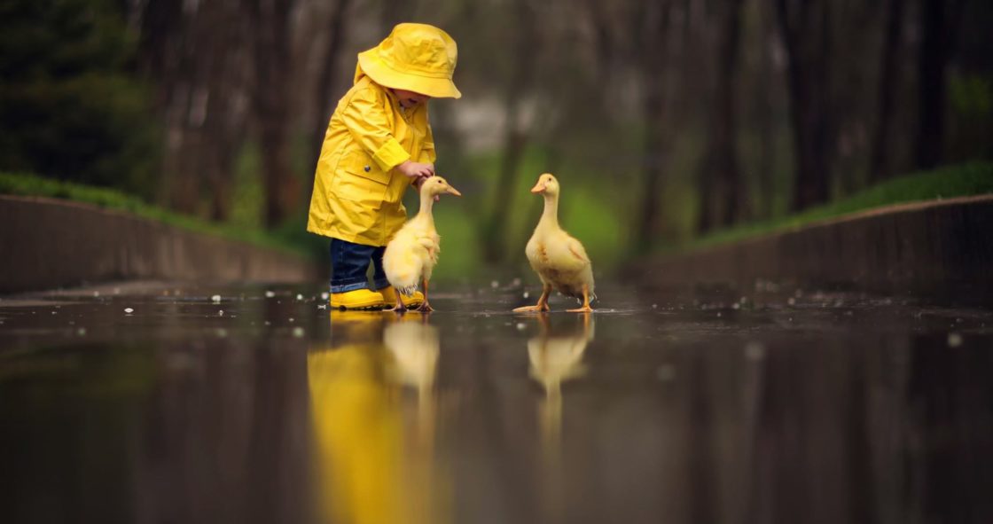 wallpaper et fond d'écran complice canard enfant tendresse affection
