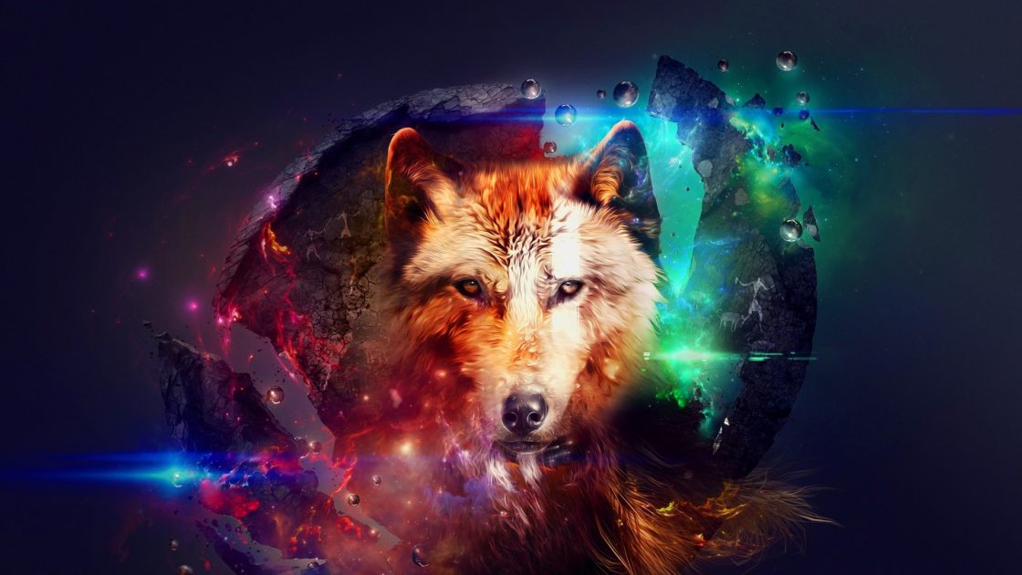 wallpaper et fond d'écran Art loup Wolf animals animaux graphique digital couleurs art graphique