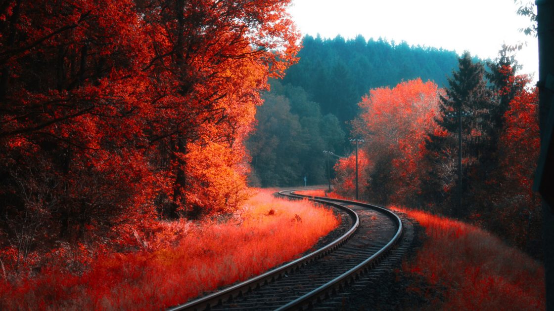 wallpaper et fond d'écran automne paysage nature rail saison arbres