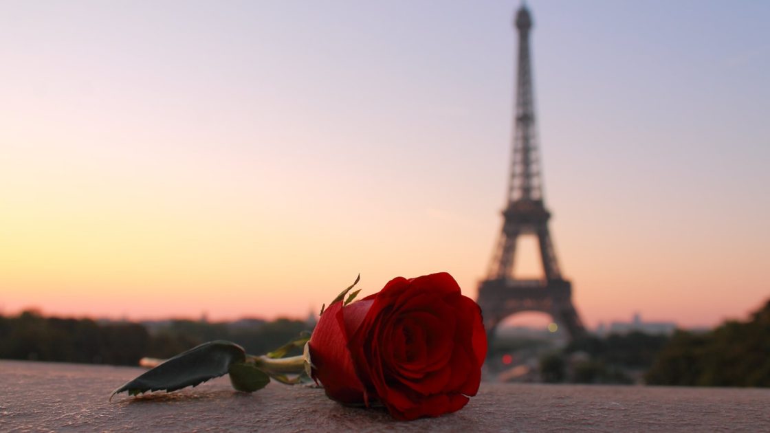 wallpaper et fond d'écran Paris romantique rose fleur Tour Eiffel paysage France capitale voyage travel tourisme