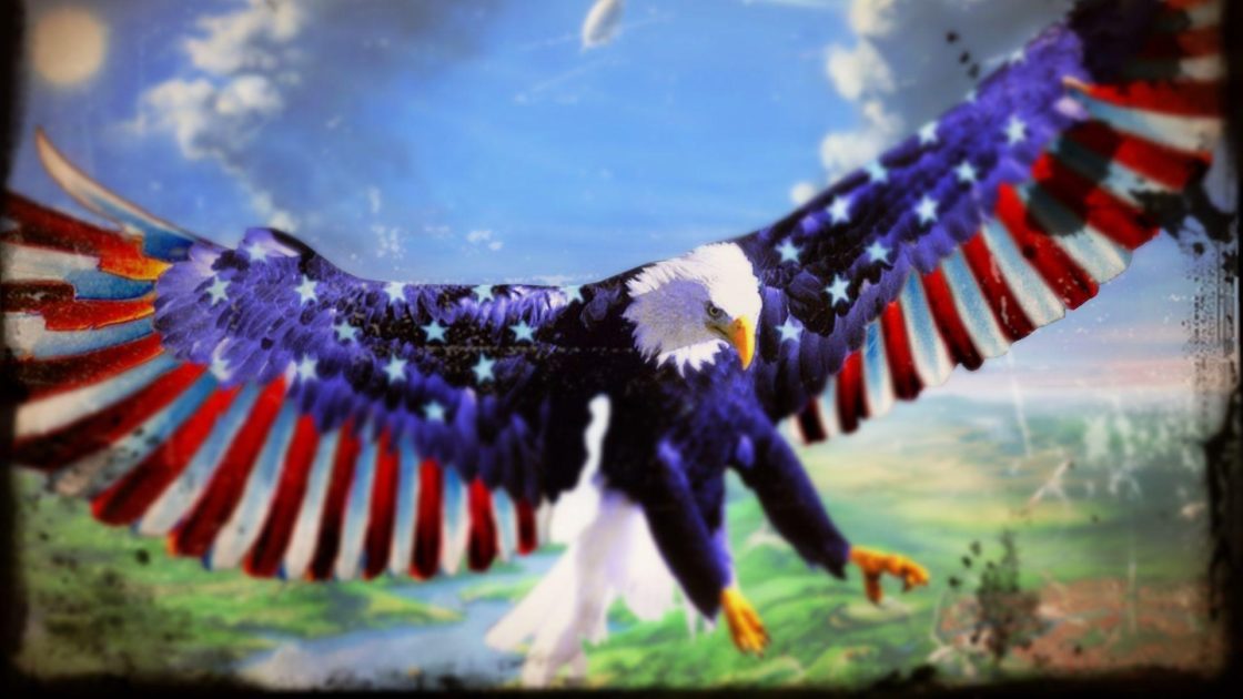 wallpaper et fond d'écran aigle eagle Amérique animals animaux drapeau Etats-Unis oiseau fantasy fantastique image flag