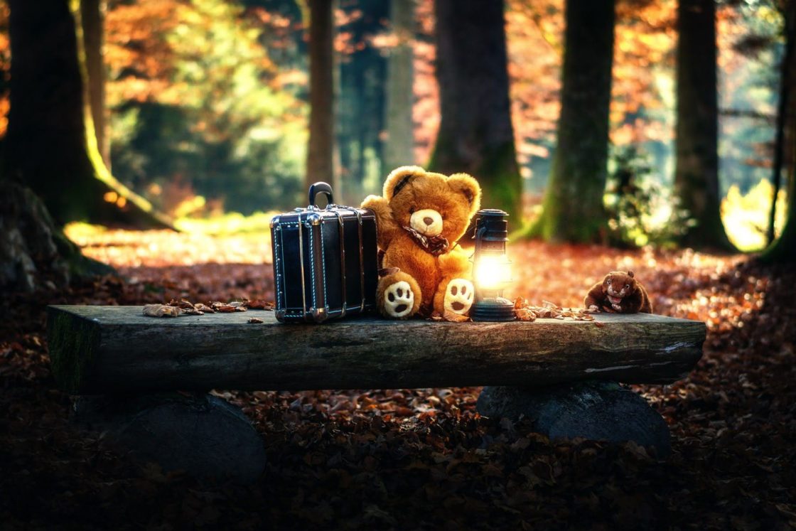 wallpaper et fond d'écran mignon nounours valise forêt nature peluche teddy bear