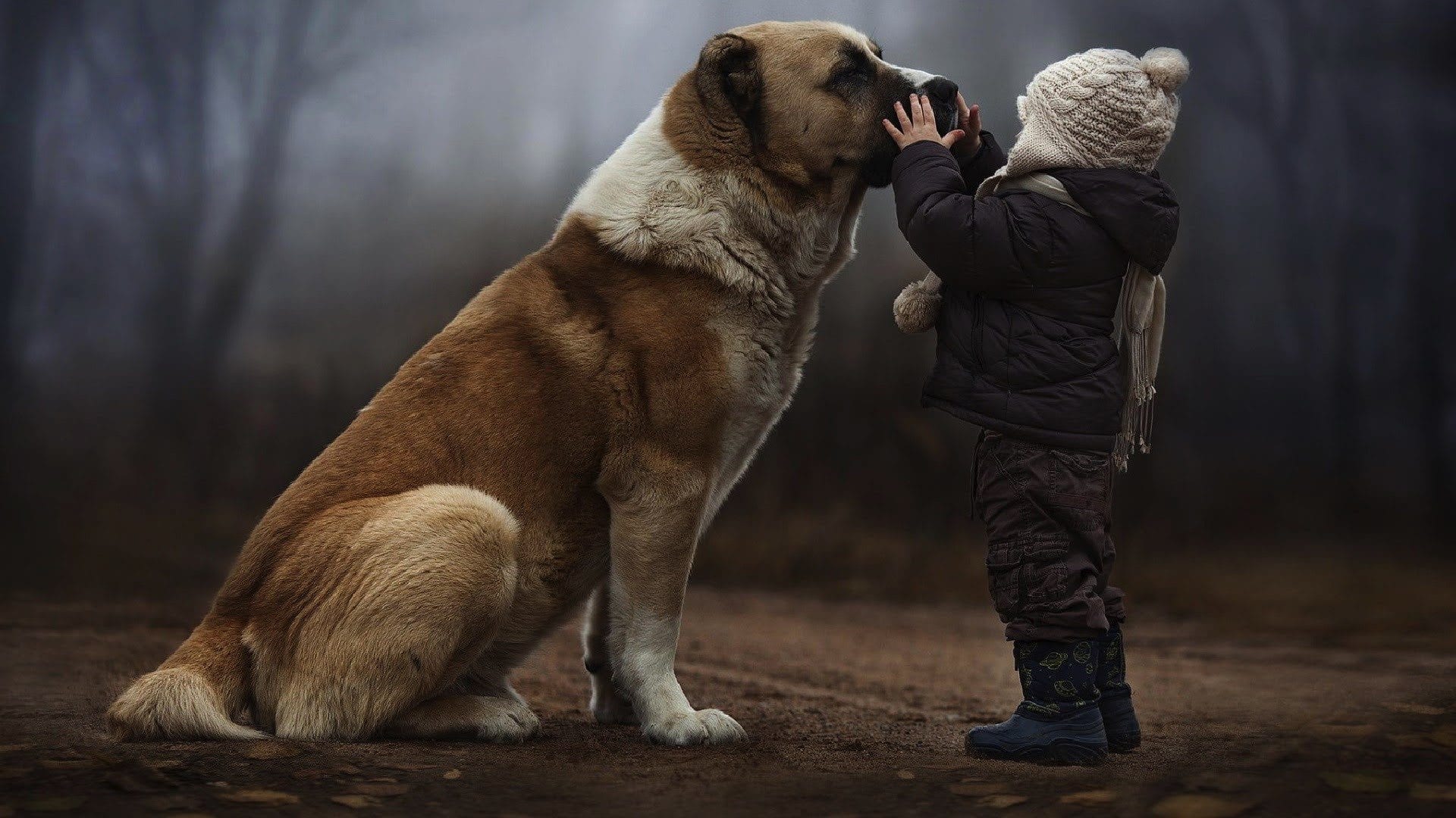 wallpaper et fond d'écran Tendre amitié enfant chien dog child tendresse complicité animals animaux Tender friendship