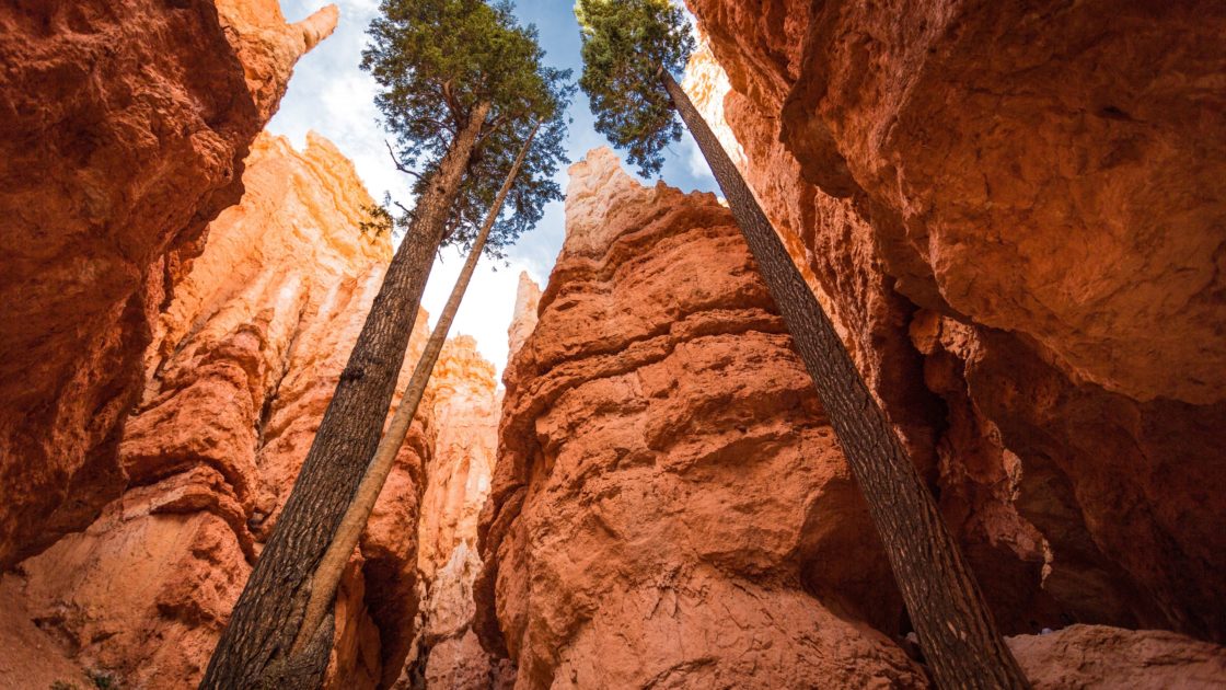 wallpaper et fond d'écran Bryce Canyon Utah Amérique monument nature paysage landscape desert voyage travel tourisme