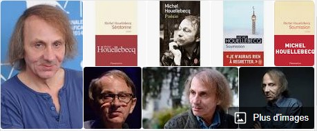 Livres - Les 14 meilleurs Auteurs de France Michel Houellebecq