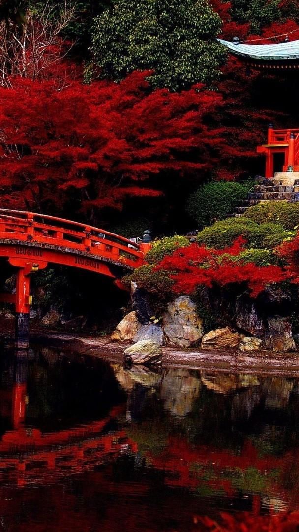 wallpaper et fond d'écran nature Asie Japon paysage fleurs flowers Sakura pays landscape voyage travel tourisme Japonais temple jardin