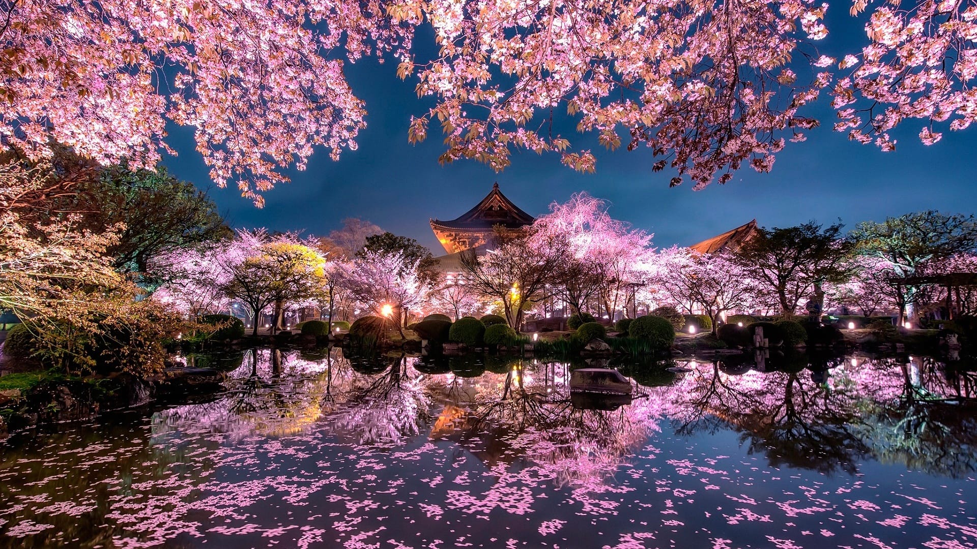 wallpaper et fond d'écran nature Asie Japon paysage fleurs flowers Sakura pays landscape voyage travel tourisme Japonais temple