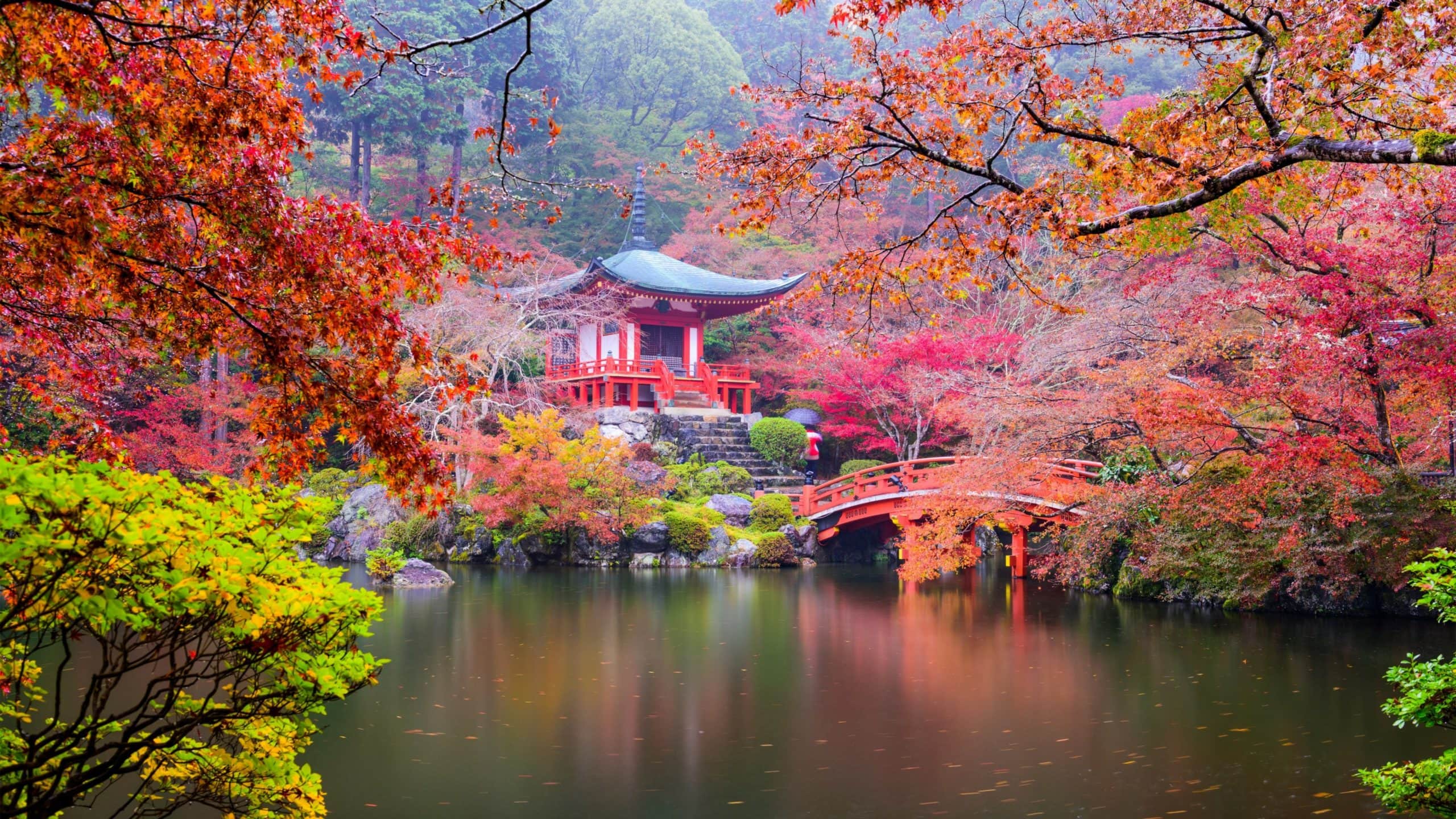 wallpaper et fond d'écran nature Asie Japon paysage fleurs flowers Sakura pays landscape voyage travel tourisme Japonais temple