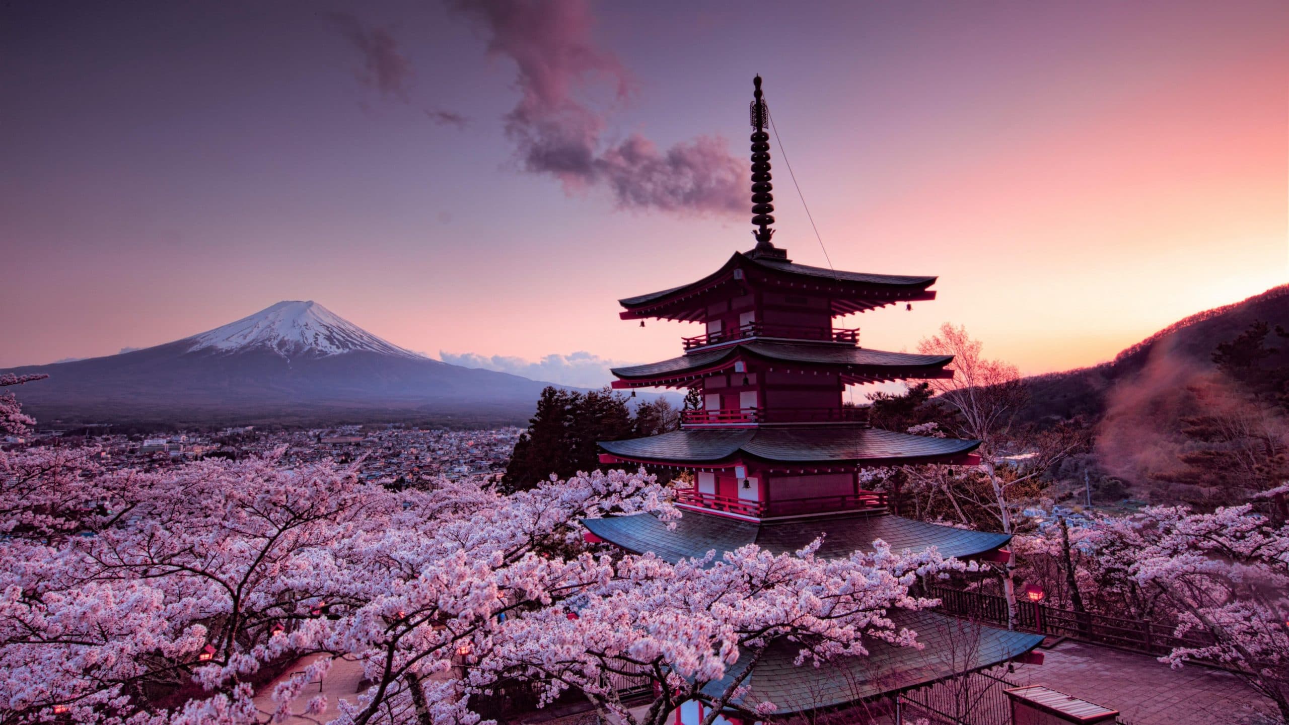 wallpaper et fond d'écran nature Asie Japon paysage fleurs flowers Sakura pays landscape voyage travel tourisme Japonais temple