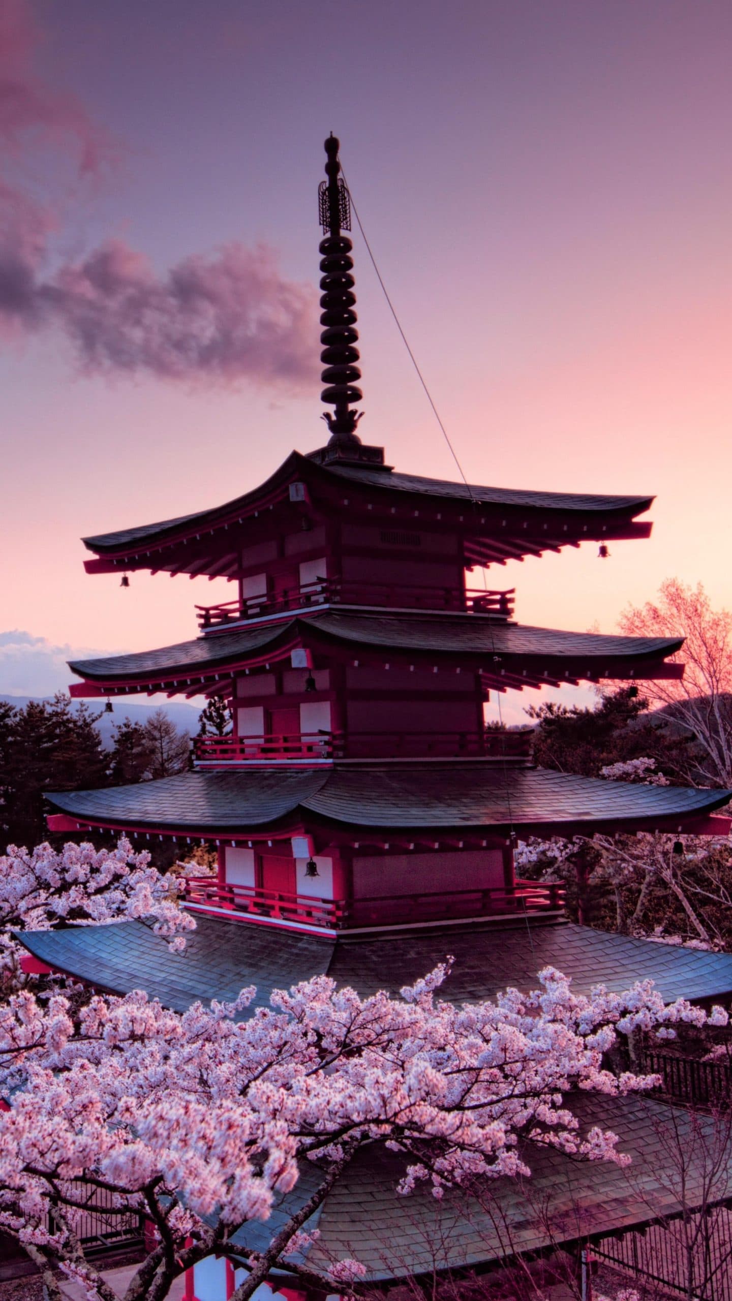 wallpaper et fond d'écran nature Asie Japon paysage fleurs flowers Sakura pays landscape voyage travel tourisme Japonais temple