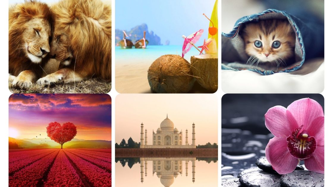 photo image wallpaper et fond d'écran sélection coup de coeur beau meilleurs wallpaper carrousel vignettes