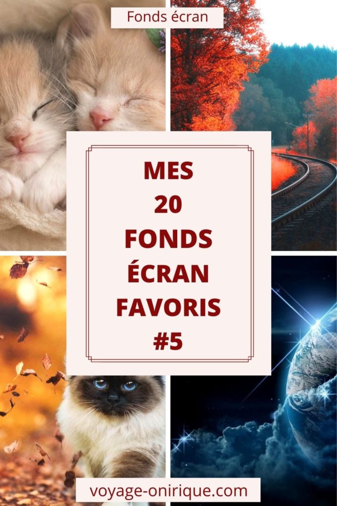 wallpaper et fond d'écran animals animaux paysage nature univers nourriture food coup de coeur favoris préféré hommage photo photographie photography
