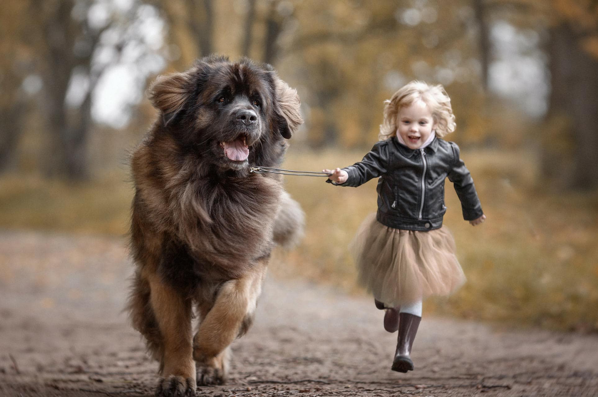 wallpaper et fond d'écran enfant fillette chien dog complicité joie complicity animals animaux children photo photobgraphie photography