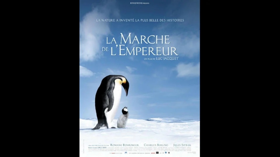 La marche de l'empereur 7 Films Français qui ont remporté un Oscar
