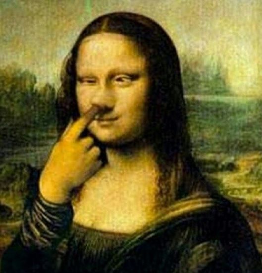 image art artiste Mona Lisa Joconde humour drôle amusant femme woman Léonard de Vinci peinture painting funny portrait Joconde détournée