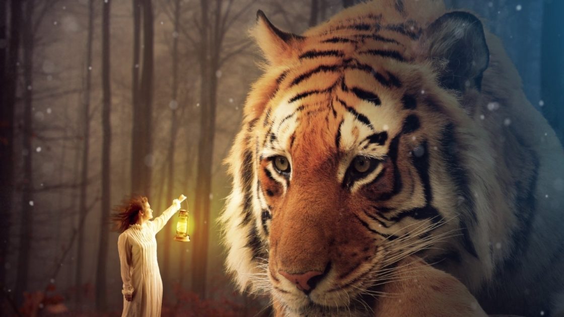 wallpaper et fond d'écran tigre féérie fantasy fantaisie Tiger Fairy image picture fantastique animals animaux félin feline graphique photo photographie photography