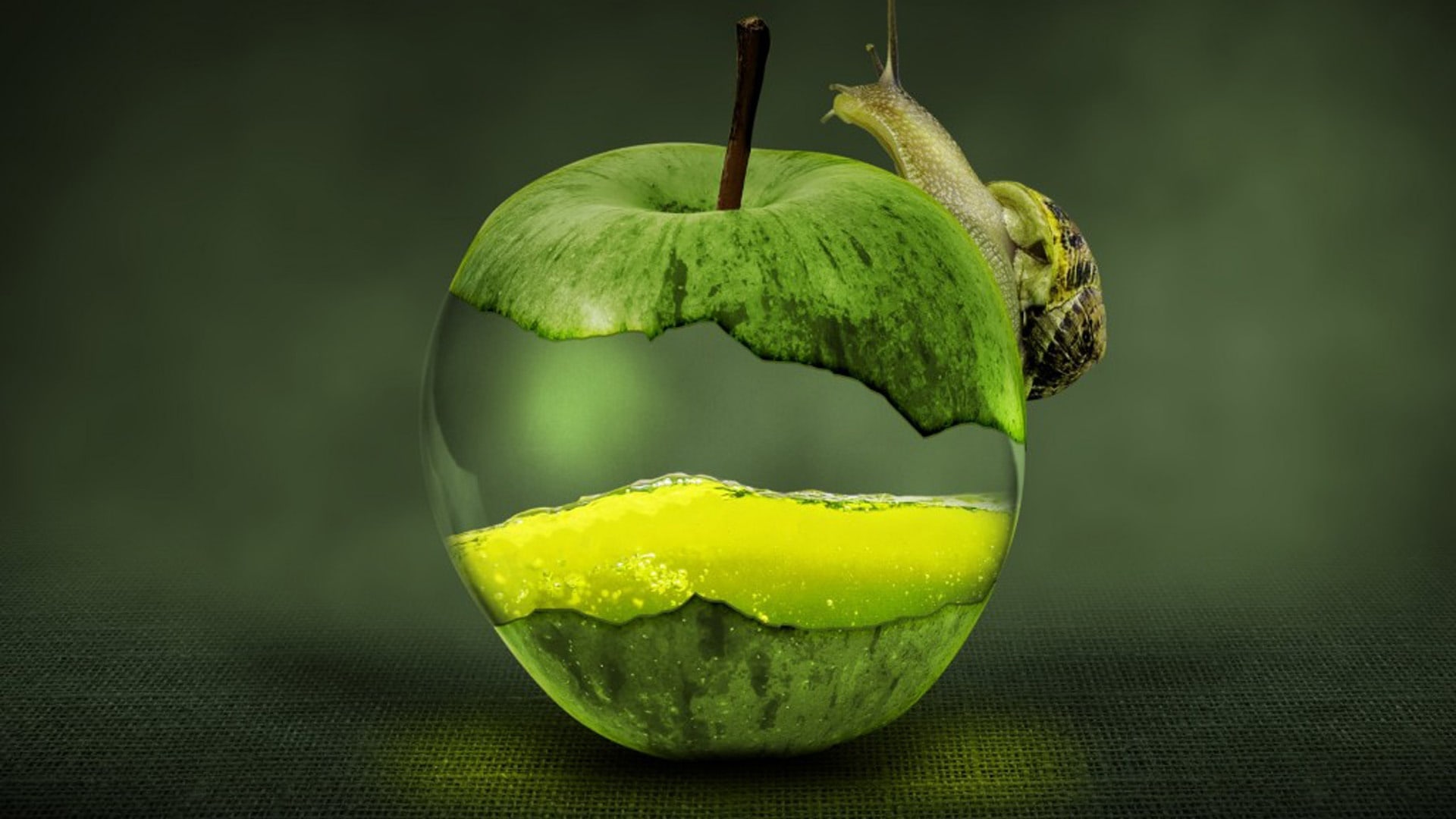 wallpaper et fond d'écran digital art pomme apple graphique escargot numérique création graphic image picture photo photographie fruit photography