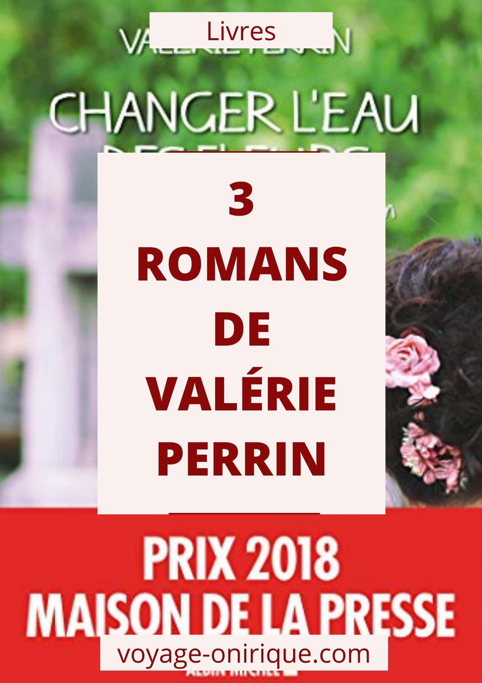 image photo couverture livre lecture book roman novel littérature reading mots textes culture auteure Valérie Perrin écrivain autor Trois