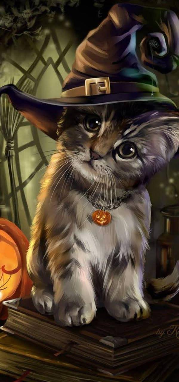 wallpaper et fond d'écran chat cat fantasy Halloween citrouille mignon cute fête célébration horreur peur image picture photo photographie