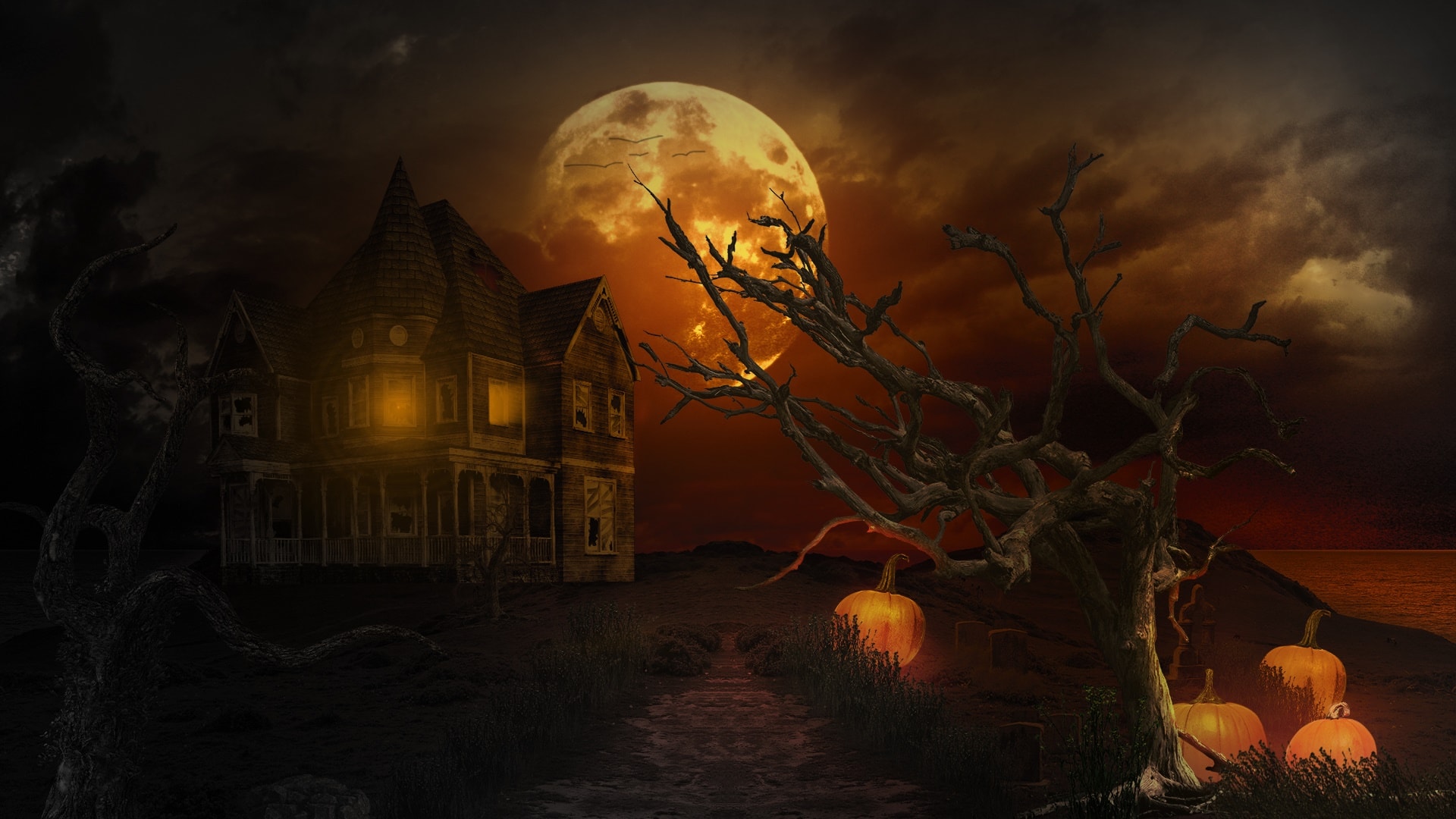 wallpaper et fond d'écran humeur Halloween citrouille fête célébration peur horreur vampire image picture mood photo photographie