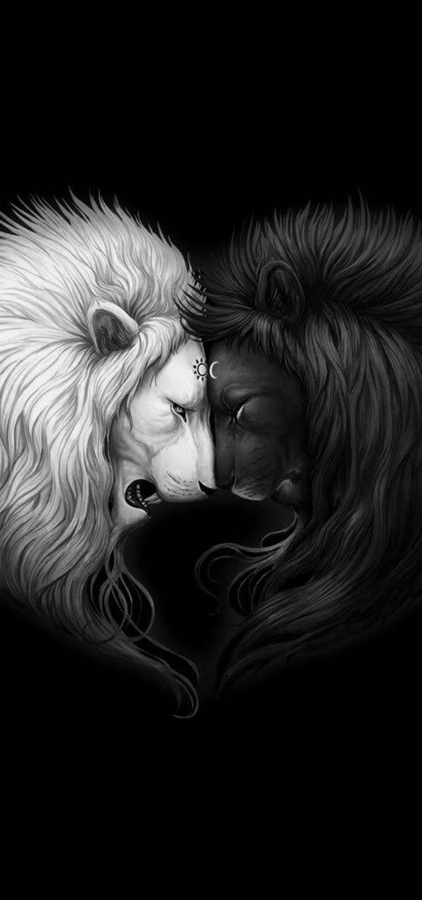 wallpaper et fond d'écran lions noir et blanc art graphique graphic digitalart numérique portrait black and white félin feline fauve animals animaux image picture photo photographie