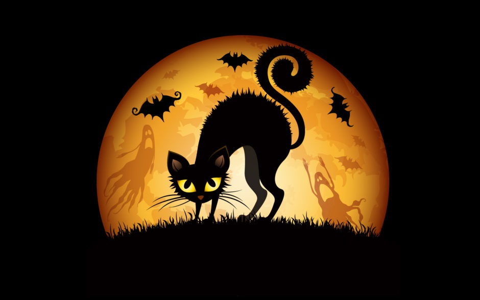 wallpaper et fond d'écran chat cat Halloween fête célébration vampire fantôme sorcière peur horreur fantasy fantaisie chat noir image picture photo photographie photography